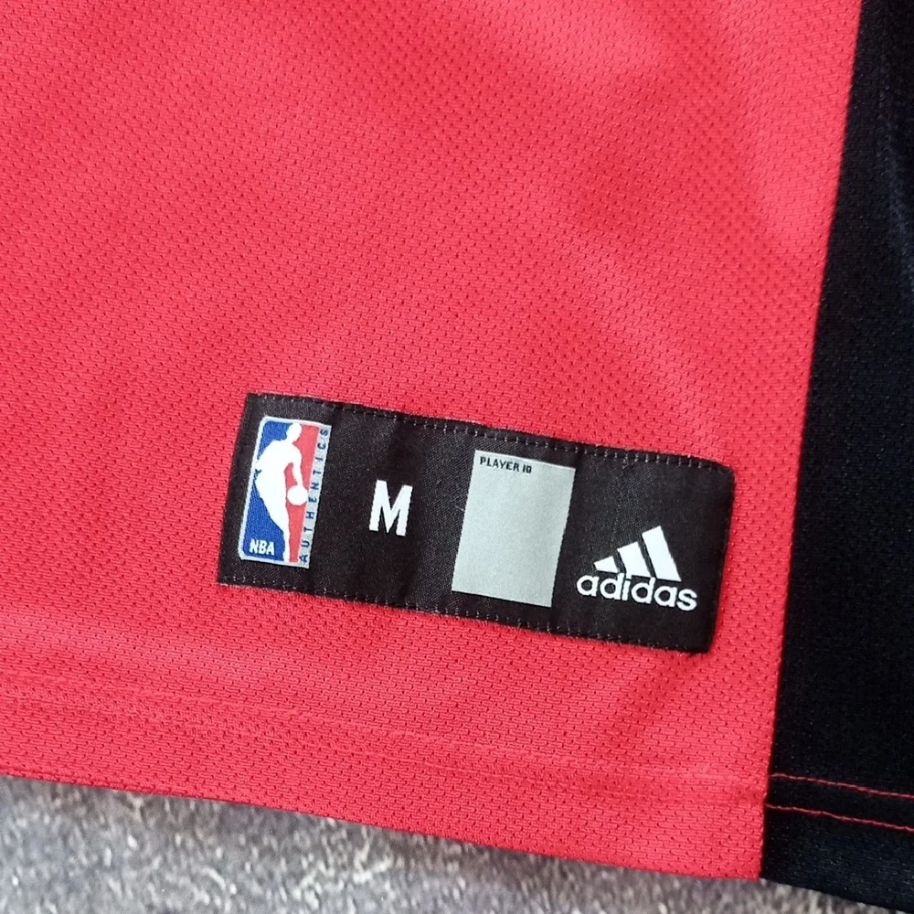 NBA TJ FORD #11 TORONTO RAPTORS BASKETBALL JERSEY - Picture 4 of 9